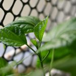 shuvrodeep-dutta-7XOiqVnjBAg-unsplash